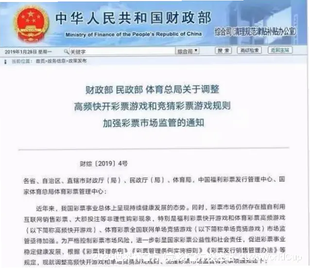 核心团队与专业资质